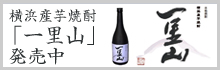 横浜産芋焼酎「一里山」発売中・口口web酒店